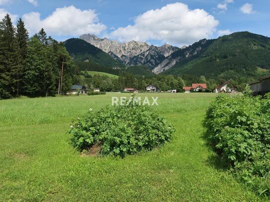 NEUER PREIS!!! Grundstück in ruhiger und sonniger Lage in Hall bei Admont