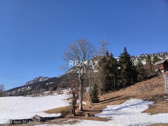 Baugrund in sonniger, harmonischer Hanglage in Wörschachwald