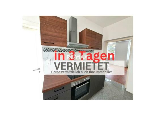 SCHWECHAT - GRÜNRUHELAGE - neu sanierte 40 m² - 2-Zimmer Wohnung zu mieten