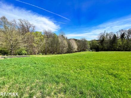 RIES: 590 m² sonniges Baugrundstück nahe Graz!