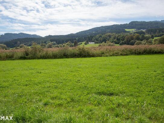 Klein-, Mittel- und Großbetriebe aufgepasst: Ebenes Gewerbegrundstück in Wiesenau