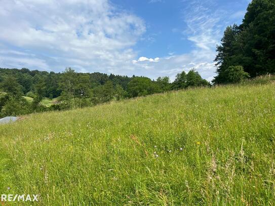 Gewerbegrund in Ortsrandlage