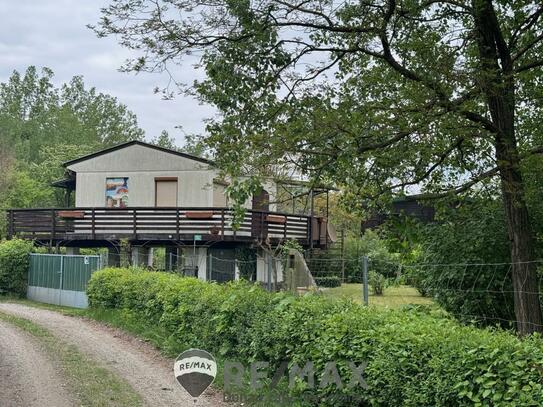 "OPEN HOUSE - Sommerhaus auf Eckpachtgrundstück am linken Donauufer"