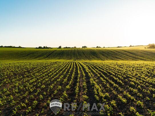 "Biologische Landwirtschaft!"