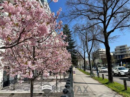 "Frühlingsgefühle!" - Fernblick über den Prater!