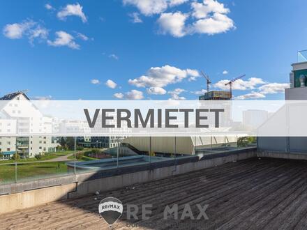 "Luxury 5 Room Apartment, Roof-top terrace"