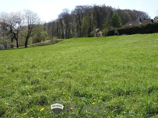 " BAULAND ohne Bauzwang - Leben im Wienerwald "