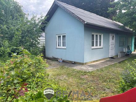 "500m² EIGENGRUND in 1220 zu kaufen - Sommerhäusschen inklusive"