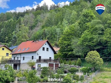 Familienhaus in Grün- und Ruhelage