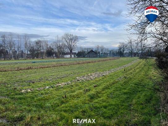 Grundstück für Bauträger und Projektentwickler mit ca. 6200 m² Gesamtfläche