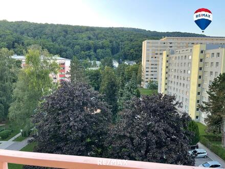 2-Raumwohnung mit Loggia nahe Kepler-UNI mit Blick ins Grüne