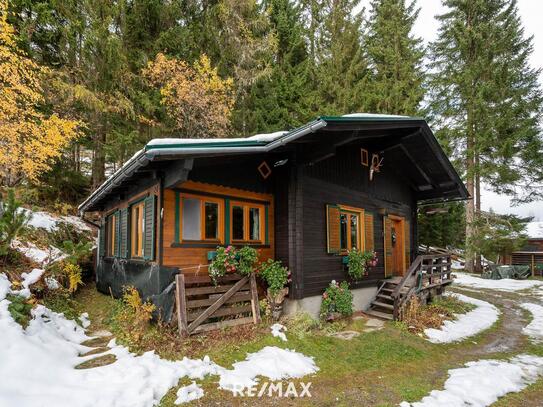 "Uriger Almzauber" - Almhütte in Hüttau