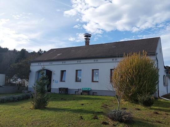 Bauernhaus für Genießer mit Geschäftssinn