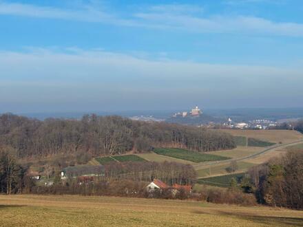 Fantastischer Burgblick straßenseitig kombiniert mit wunderschönem Südblick in die Natur gartenseitig -Baugrundstück in…