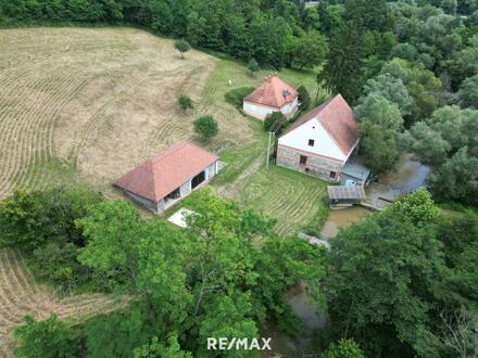 UNGARN!! 4,6 Hektar Eigengrund - ehemalige Mühle mit saniertem Wohnhaus- unmittelbar an der Österreichisch-Ungarischen…