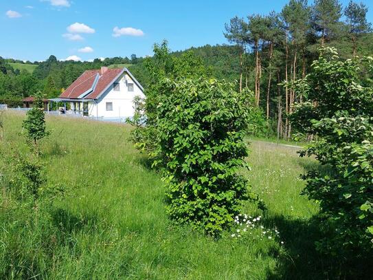 Der ideale Platz für Singles, Paare oder Familien -2000 m², sonnig, Natur pur