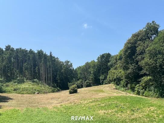 NATURVERBUNDEN? Sehr schöne ORTSRANDLAGE! Großes Grundstück, Bau- und Grünland!