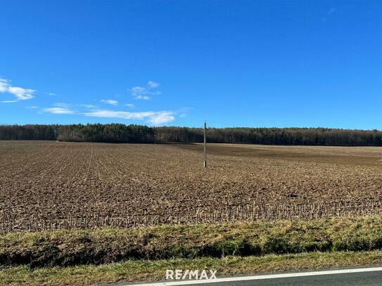 GROSSE landwirtschaftliche Flächen (ca. 27 ha!) und ein Waldgrundstück! BEZIRK OBERWART - Provisionsfrei f. d. Käufer!