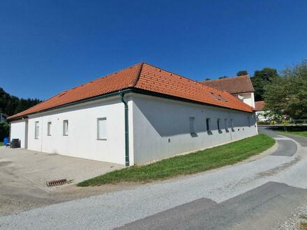 Zinshaus im begehrten St Johann bei Herberstein am Stubenbergsee mit 16 Parkplätzen