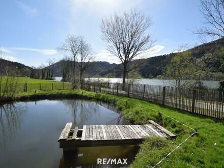 Freizeitgrund mit 2 Fischteichen an der Donau