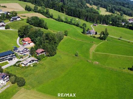 MondSeeland: Traumhafte Bauparzellen zwischen Mondsee und Irrsee