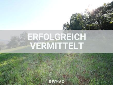 Landwirtschaftl. Fläche mit Bestandsgebäude