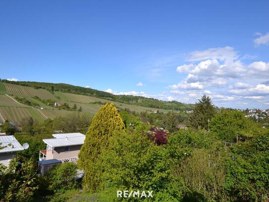 Kleingarten-Pachtgrundstück in Top Grün-Ruhelage mit Weinbergblick! Angebotsverfahren!