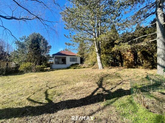 Leben, wo der Wienerwald am schönsten ist | Der Grund für Ihr Haus im Grünen!
