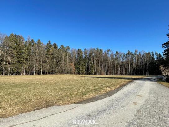 Grundstück mit ca. 7.300m² Grundfläche (für bis zu 7 Häuser)