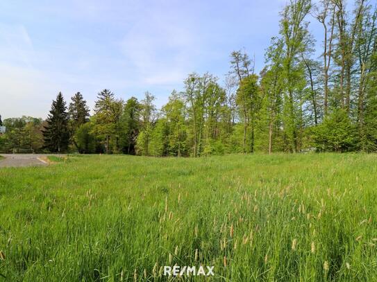 Traumgrundstück in Mariagrün