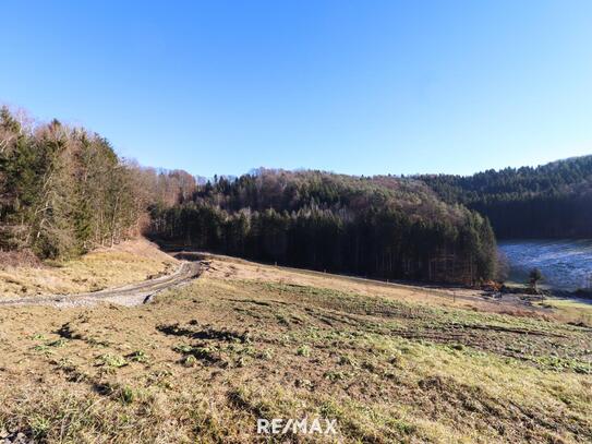 Große Landwirtschaft mit bewilligtem Bauplan in schöner Gegend