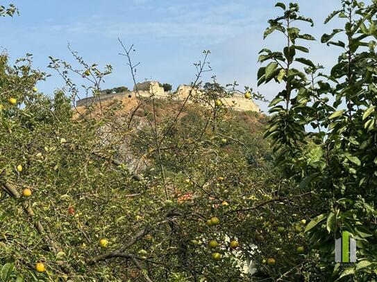 Einfamilienhaus in besonders schöner absolut ruhiger Siedlungs-Lage