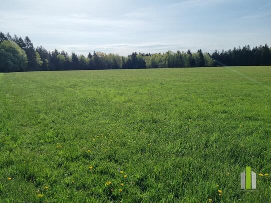 Landwirtschaftliches Grünland mit Waldfläche