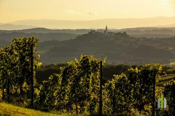 SüdoststeiermarkLandschaft