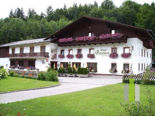 Uriges Gasthaus in schöner Naturlage mit Gästezimmern