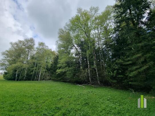 Landwirtschaftliches Grünland mit Waldfläche