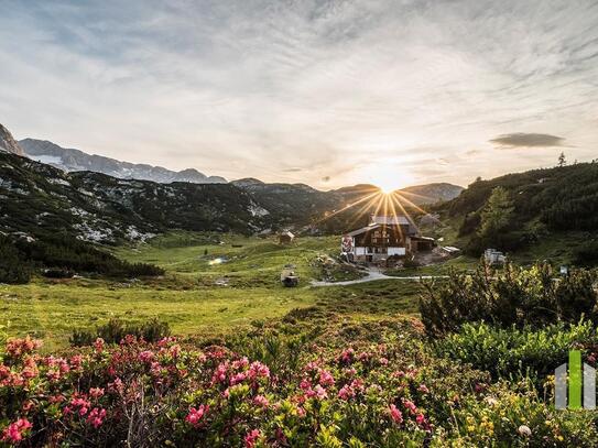 Berghütte/Alm in traumhafter Alleinlage mit Blick auf das atemberaubende Dachsteinmassiv