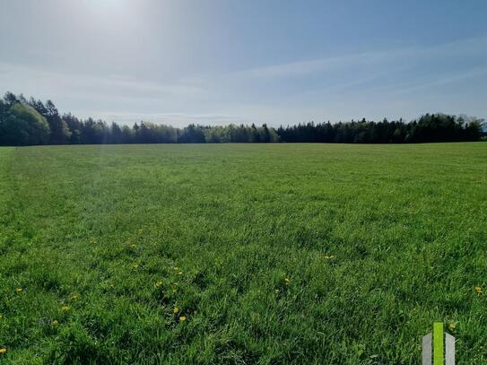 Landwirtschaftliches Grünland mit Waldfläche