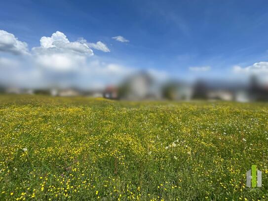 Traumhaftes, sonniges Grundstück | Straßwalchen