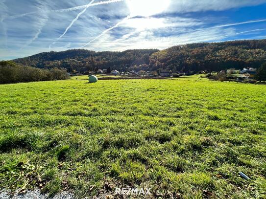 NEUER PREIS! Freilandgrundstück mit großem Potential für langfristiges Investment in Graz!