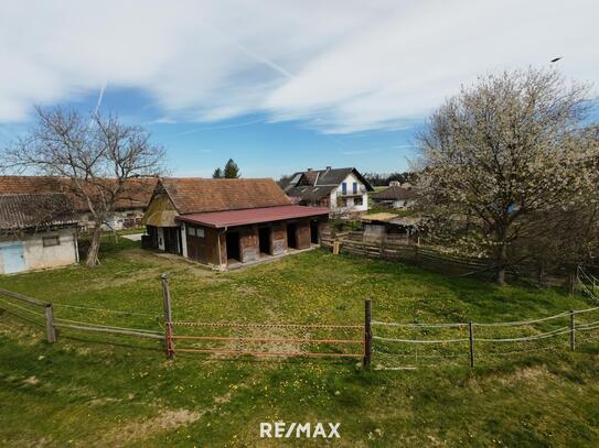 Reitstall in Rabenhof – 6 Boxen, Reitviereck, Clubhaus, Weiden & mehr in der Südsteiermark