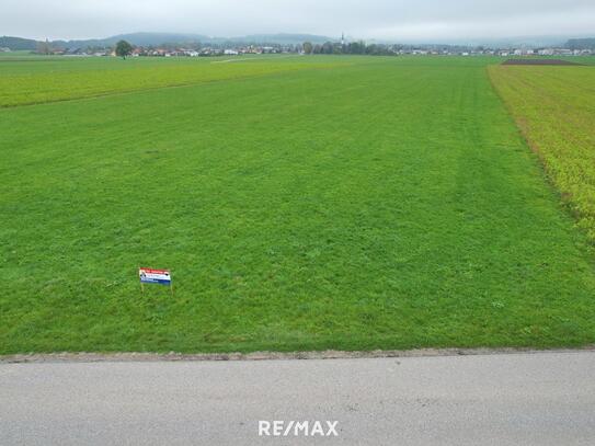 Landwirtschaftlicher Nutzgrund