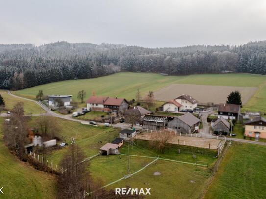 Ihr Landwirtschaftsjuwel: Gepflegt und mit Reitplatz