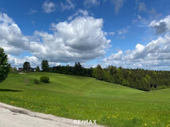 Baugrundstück