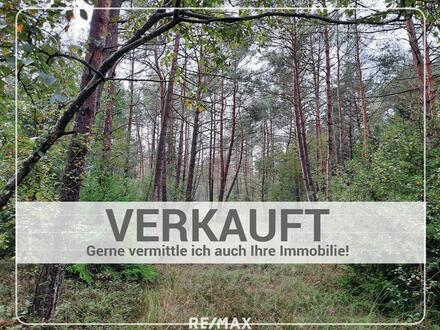 Wald