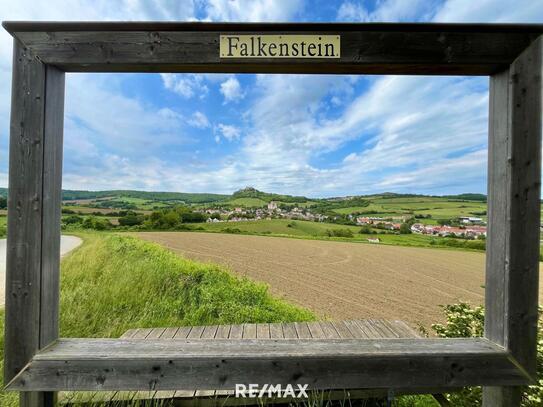 Winzerhaus im Weinort Falkenstein