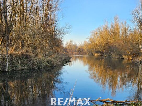 Naturjuwel mit Wald neben Ausee Asten