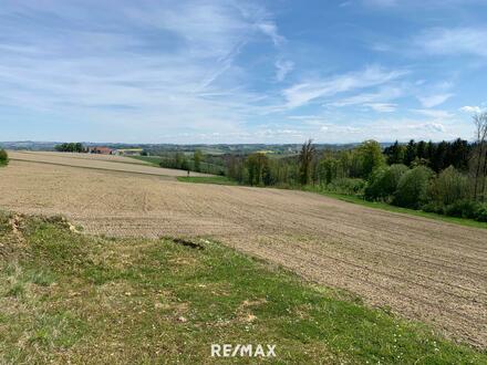 NATUR PUR - Familientraum mit einzigartigem Ausblick und in unverbaubarer Waldrandlage