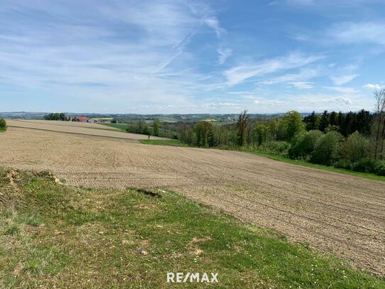 NATUR PUR - Familientraum mit einzigartigem Ausblick und in unverbaubarer Waldrandlage