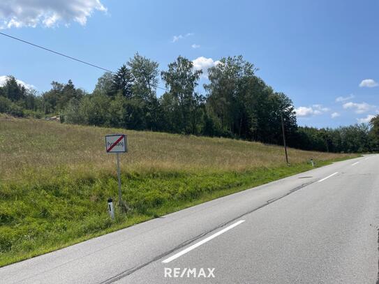 Donau.Blick - Grundstück mit Grünland in Pyrawang (Nahe Passau)